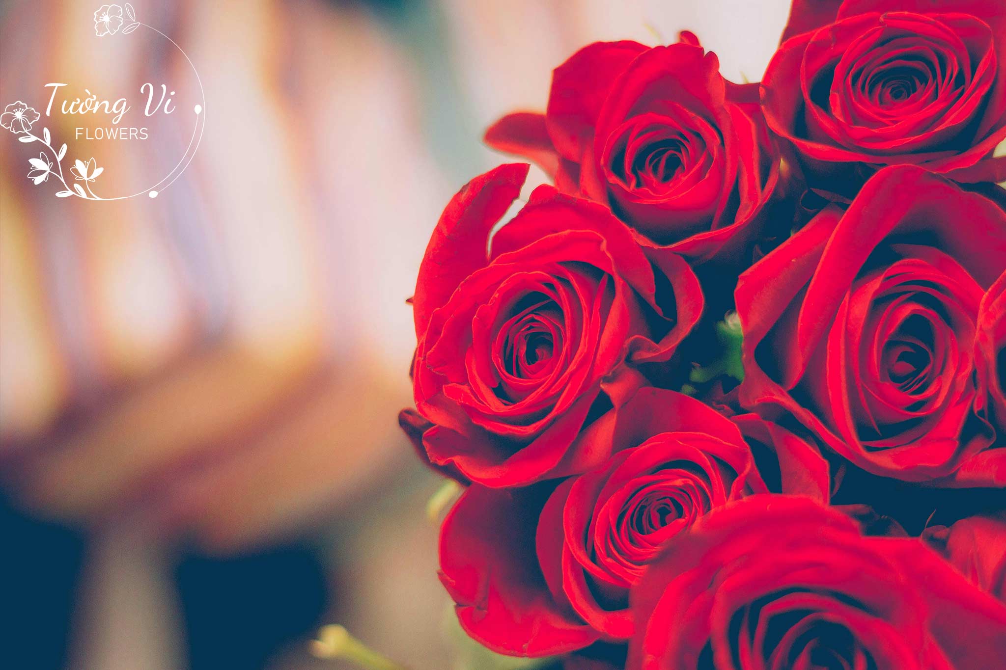 Hao hồng tình yêu màu đỏ sang trọng