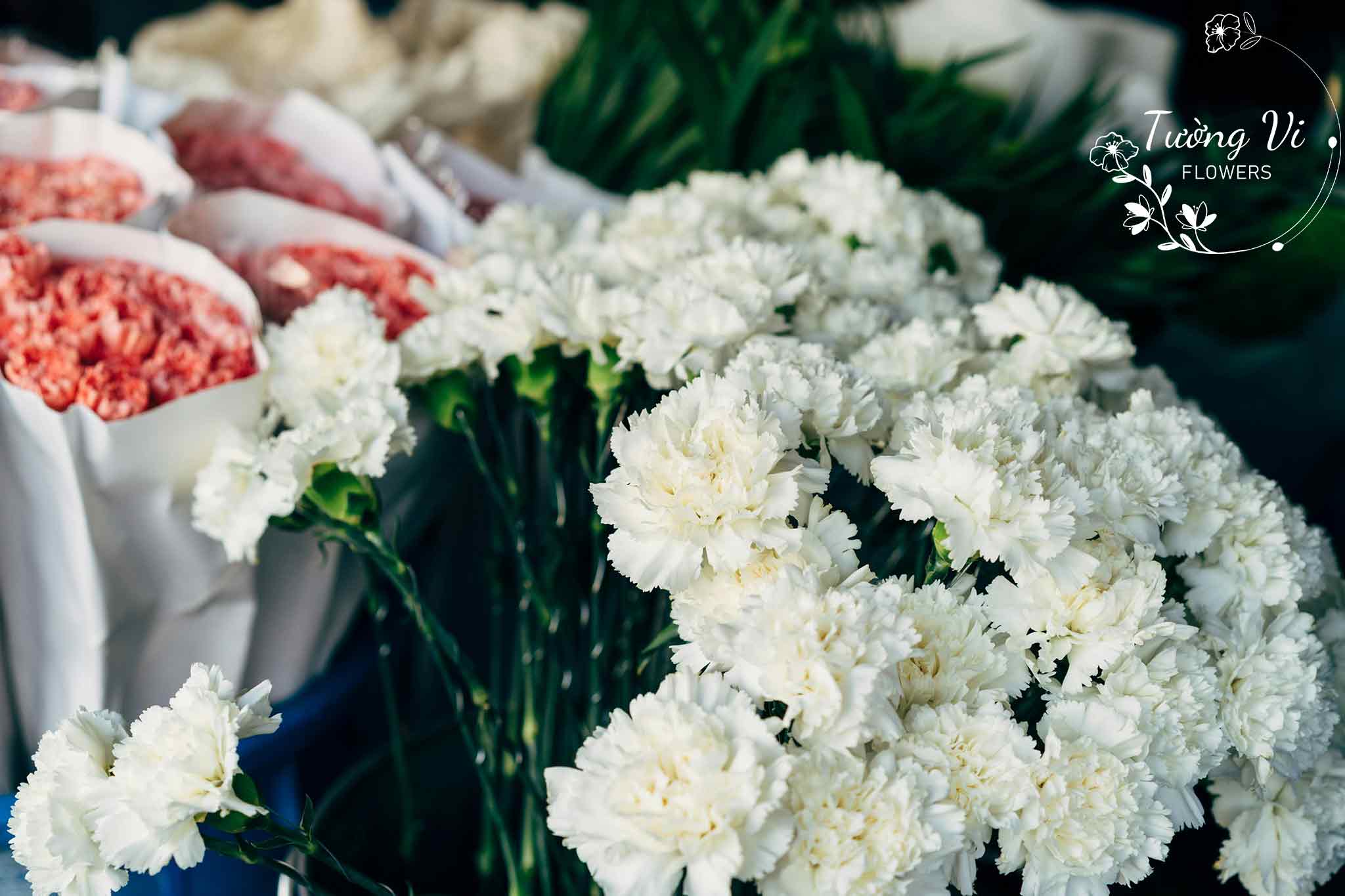 Hoa trang trí tang elex trọn gói