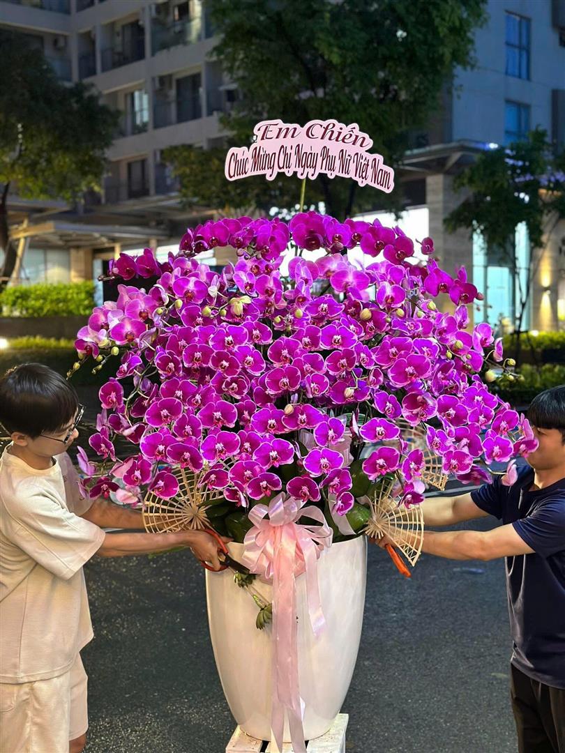 Lan hồ điệp tím từ lâu đã được xem là biểu tượng của sự thủy chung, sang trọng và quyền quý