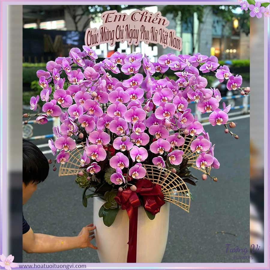 lan-ho-diep-tu-lan-van-phuc-tuong-flower