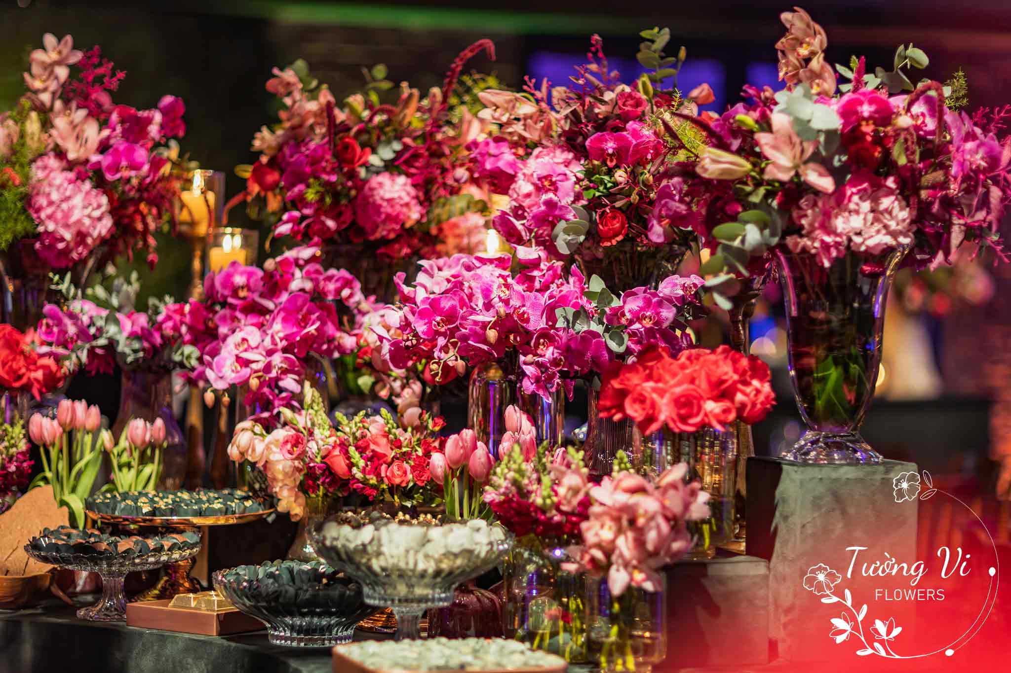 Hoa lan hồ điệp trang trí sự kiện, shop bán hoa đẹp ở tphcm