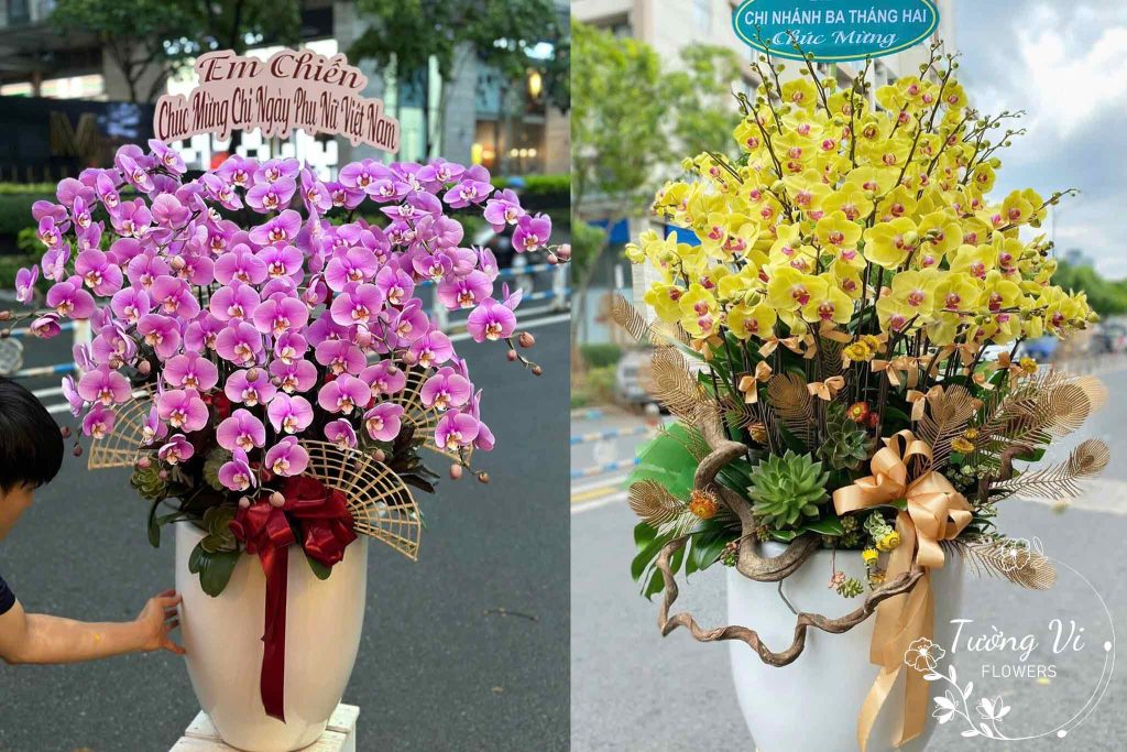 Hoa lan hồ điệp chúc mừng